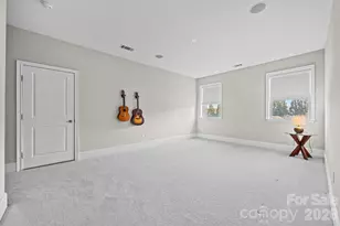 1316 Delaney Drive, Weddington, NC 28104 - Photo 39