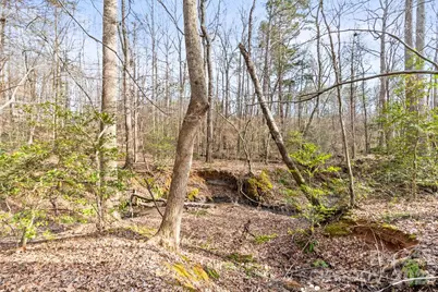 7695 Sedgebrook Drive E, Lowesville, NC 28164 - Photo 7