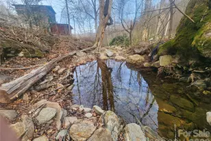 659 Cold Creek Rd, Canton, NC 28716 - Photo 33