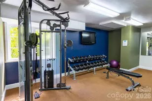 303 Bowling Park Rd, Asheville, NC 28803 - Photo 29