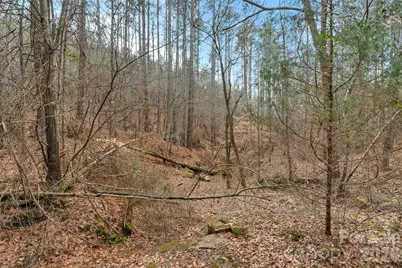 00 Woods Ferry Road, Carlisle, SC 29013 - Photo 5