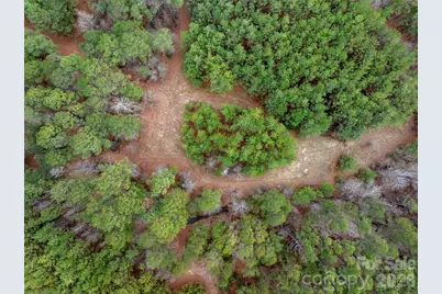 00 Woods Ferry Road, Carlisle, SC 29013 - Photo 19