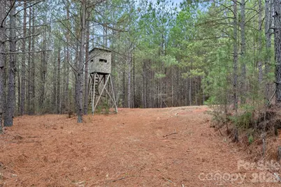 00 Woods Ferry Road, Carlisle, SC 29013 - Photo 9