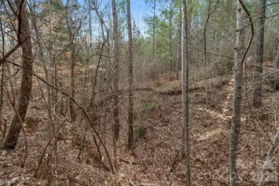 00 Woods Ferry Road, Carlisle, SC 29013 - Photo 13