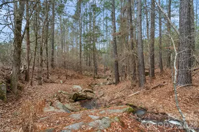 00 Woods Ferry Road, Carlisle, SC 29013 - Photo 15