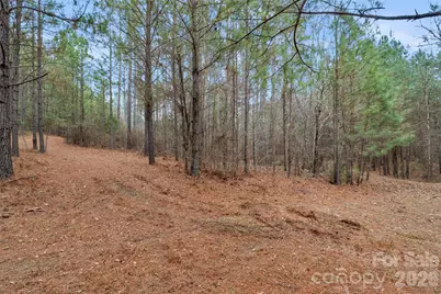 00 Woods Ferry Road, Carlisle, SC 29013 - Photo 25