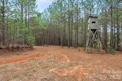 00 Woods Ferry Road, Carlisle, SC 29013 - Photo 21