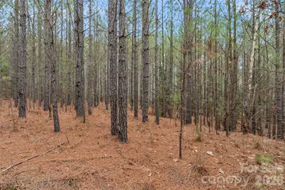 00 Woods Ferry Road, Carlisle, SC 29013 - Photo 27