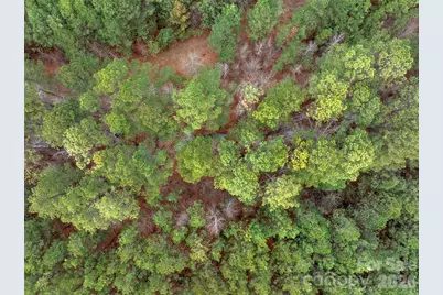 00 Woods Ferry Road, Carlisle, SC 29013 - Photo 47