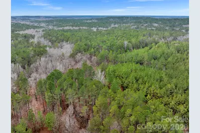 00 Woods Ferry Road, Carlisle, SC 29013 - Photo 33