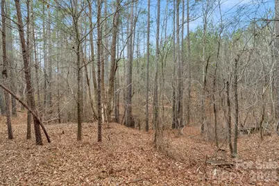 00 Woods Ferry Road, Carlisle, SC 29013 - Photo 43