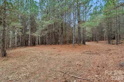 00 Woods Ferry Road, Carlisle, SC 29013 - Photo 23