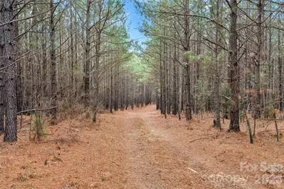 00 Woods Ferry Road, Carlisle, SC 29013 - Photo 41