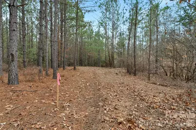 00 Woods Ferry Road, Carlisle, SC 29013 - Photo 31