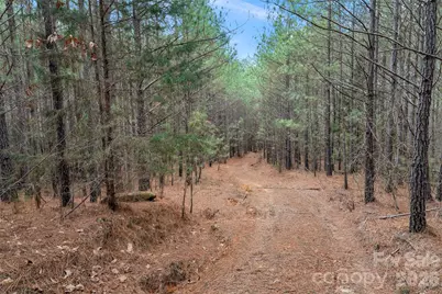 00 Woods Ferry Road, Carlisle, SC 29013 - Photo 29