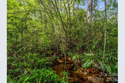29 Stonehollow Lane, Brevard, NC 28712 - Photo 15