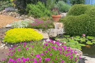 3443 Norwich Rd, Fort Mill, SC 29715 - Photo 41