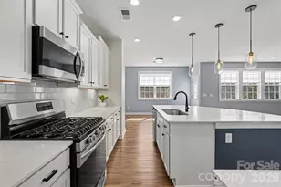 14510 Grundys Way, Davidson, NC 28036 - Photo 9