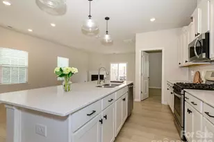 16030 Seagard Cv, Charlotte, NC 28278 - Photo 5