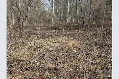 000 Rosalie Lane #5, Waynesville, NC 28785 - Photo 5