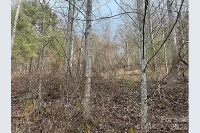 000 Rosalie Lane #5, Waynesville, NC 28785 - Photo 3