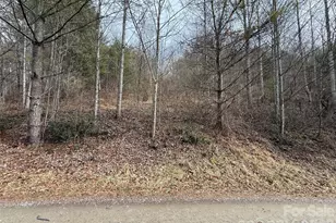 000 Rosalie Ln, Waynesville, NC 28785 - Photo 1