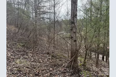 000 Rosalie Lane #5, Waynesville, NC 28785 - Photo 7