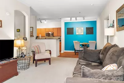 900 Vista Lake Drive #301, Candler, NC 28715 - Photo 5