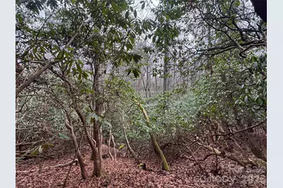 000 Falls Creek Court, Pisgah Forest, NC 28768 - Photo 3