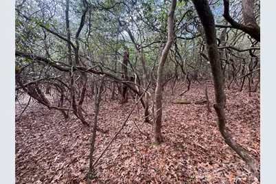 000 Falls Creek Court, Pisgah Forest, NC 28768 - Photo 5