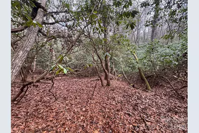 000 Falls Creek Court, Pisgah Forest, NC 28768 - Photo 1