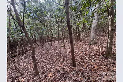 000 Falls Creek Court, Pisgah Forest, NC 28768 - Photo 9