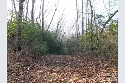 154 Laurel Thicket Drive #98, Brevard, NC 28712 - Photo 13