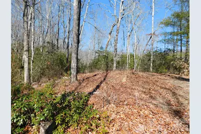 154 Laurel Thicket Drive #98, Brevard, NC 28712 - Photo 7