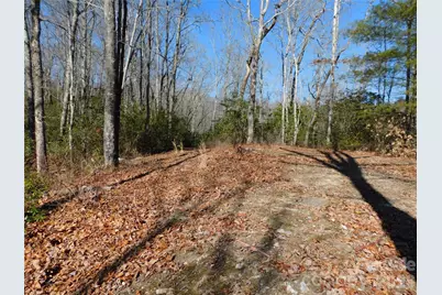 154 Laurel Thicket Drive #98, Brevard, NC 28712 - Photo 19