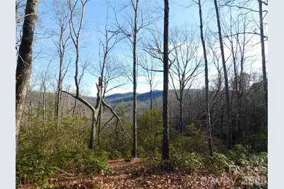 154 Laurel Thicket Drive #98, Brevard, NC 28712 - Photo 15