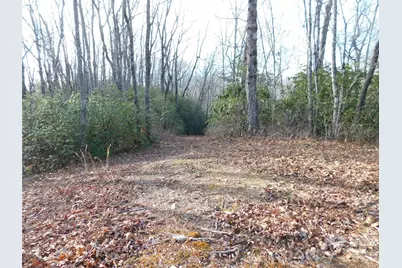 154 Laurel Thicket Drive #98, Brevard, NC 28712 - Photo 9