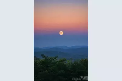 209 Rowland Drive, Laurel Park, NC 28739 - Photo 27