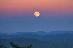 209 Rowland Dr, Laurel Park, NC 28739 - Photo 27