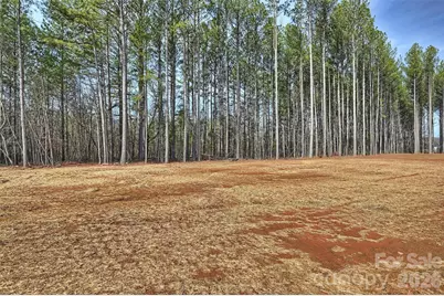 2279 Lee Lawing Road, Lincolnton, NC 28092 - Photo 39