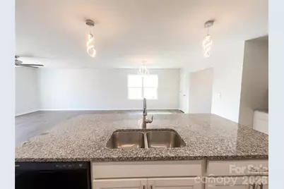 507 Zoe Bee Drive, Clover, SC 29710 - Photo 9