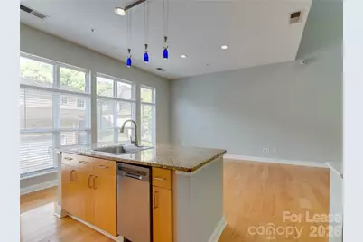 927 Garden District Drive, Charlotte, NC 28202 - Photo 9