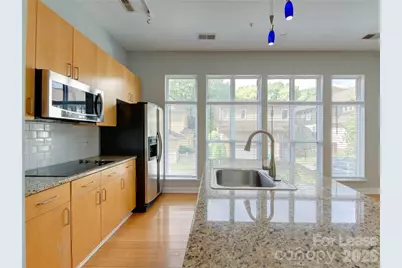 927 Garden District Drive, Charlotte, NC 28202 - Photo 5