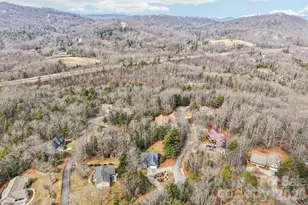 29 Saddle Top Rd, Flat Rock, NC 28731 - Photo 43