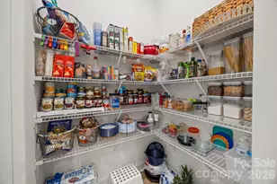 131 Reids Cv Dr, Mooresville, NC 28117 - Photo 17