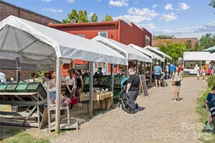 411 Alameda Wy, Matthews, NC 28104 - Photo 45