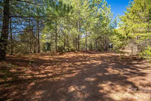 6235 Hwy 18 None S, Connelly Springs, NC 28612 - Photo 1