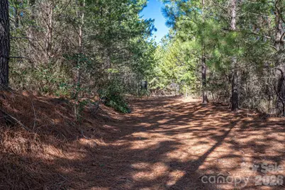 6235 Hwy 18 None S, Connelly Springs, NC 28612 - Photo 9