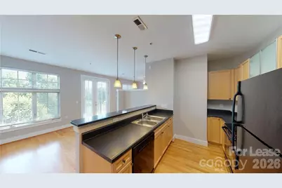1101 W 1st Street #419, Charlotte, NC 28202 - Photo 1