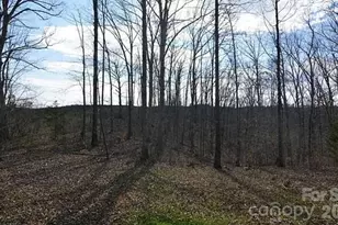 2030 Kisatchie Dr, Hickory Grove, SC 29717 - Photo 21